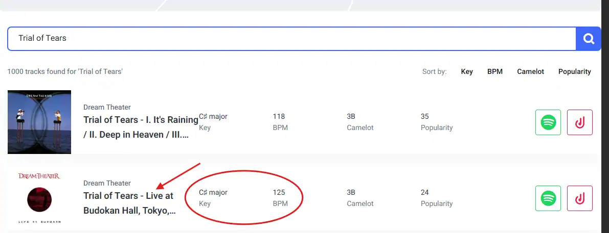 Finding additional chart information on Tunebat.com.